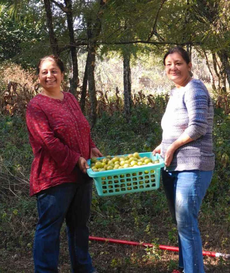 Namita Rawat Negi and Manisha Gosain
